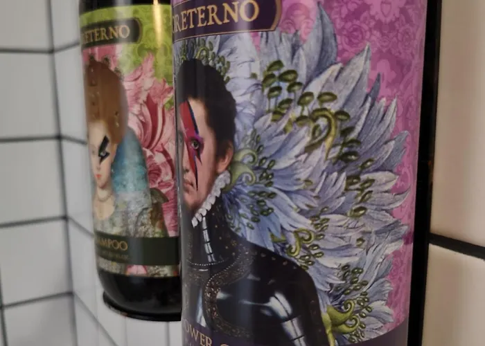 Labe Centre Gare מלון טור